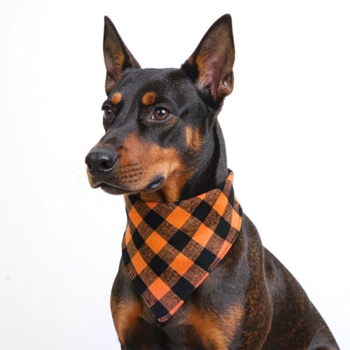 Gjinxi Herbst-Hundehalstuch, kariert, Baumwolle, wendbar, Dreieck, Taschentuch, Zubehör für Jungen und Mädchen, Urlaub, Halloween, Welpen, Bandana für kleine und mittelgroße Hunde, Orange, 2 Stück von Gjinxi