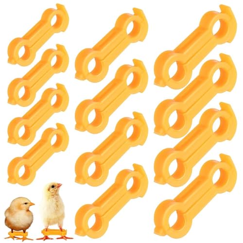 GjnjfdF Baby Chick Leg Hobbles, 12 Stück Hühnerlaufhilfen für Spreizbein, Gesundheitspflege für Küken Enten Vögel GjnjfdF Baby Chick Leg Hobbles, 12 Stück Hühnerlaufhilfen für Spreizbein, Gesundheitspflege für Küken Enten Vögel von GjnjfdF