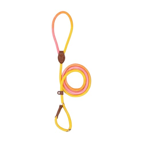 GjnjfdF Haustiergurt für Hunde, Hundegurt | Verstellbarer Welpengurt Nylon Seil - Anti-Slip-Hochfest im Freien kleine mittelgroße Hundezubehör zum Gehen, Camping von GjnjfdF