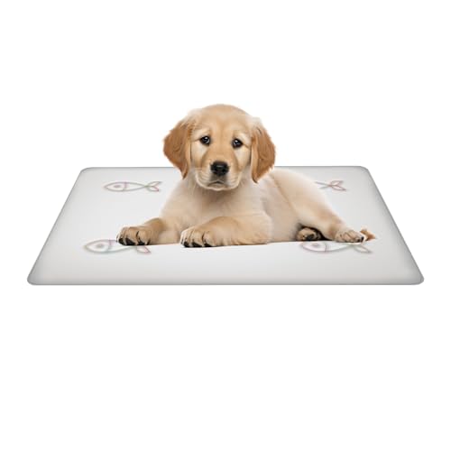 GjnjfdF Hunde Kühlmatte - Kühlunterlage Für & Transportbox - Waschbare Druckentlastende Katzen Eisbett Für Wohnung Balkon Rasen Und Schlafbereich GjnjfdF Hunde Kühlmatte - Kühlunterlage Für & Transportbox - Waschbare Druckentlastende Katzen Eisbett Für Wohnung Balkon Rasen Und Schlafbereich von GjnjfdF
