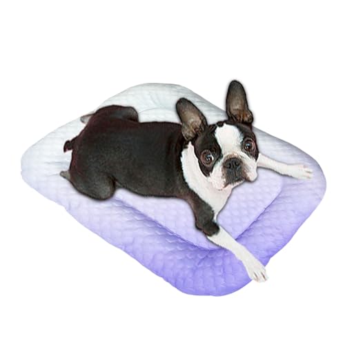 GjnjfdF Kühlkissen Für Hunde, Seide Hundematte Für Transportbox, Wärmeableitung Haustier Schlafzubehör Für Käfigboden Sofa Innenräume Zuhause Und Outdoor GjnjfdF Kühlkissen Für Hunde, Seide Hundematte Für Transportbox, Wärmeableitung Haustier Schlafzubehör Für Käfigboden Sofa Innenräume Zuhause Und Outdoor von GjnjfdF