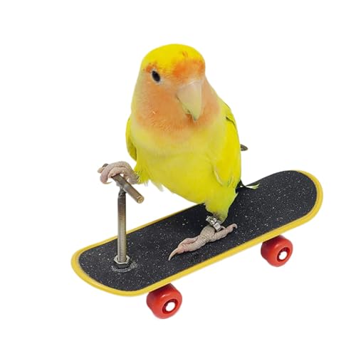 GjnjfdF Skateboard -Vogelspielzeug, Vogel -Intelligenz Bildungsspielzeug, Bildungsständer Perch Training Skateboard, Interaktive Intelligenz niedliche Haustiere liefert Vogelspielzeug für Shot von GjnjfdF