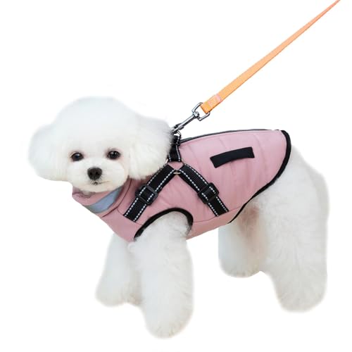 GjnjfdF wasserdichte und warme Hundekleidung, Winterkleidung für Hunde | Winter-Hundemantel, wasserdichte Hundejacke - Haustierbedarf für kaltes Wetter, gemütliche Hundekleidung für mittelgroße Hunde GjnjfdF wasserdichte und warme Hundekleidung, Winterkleidung für Hunde | Winter-Hundemantel, wasserdichte Hundejacke - Haustierbedarf für kaltes Wetter, gemütliche Hundekleidung für mittelgroße Hunde von GjnjfdF