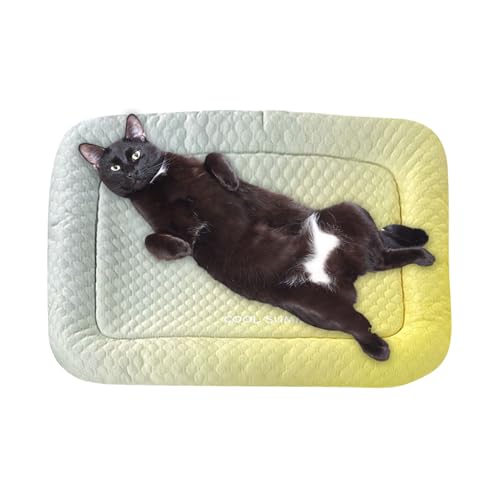 GkgWuxf Kühlmatte Für Hunde Zur Abkühlung | Spritzwassergeschütztes Haustier Kühlpad,Tragbare Schlafunterlage Für Hunde Katzen Kleintiere Wohnung Reise GkgWuxf Kühlmatte Für Hunde Zur Abkühlung | Spritzwassergeschütztes Haustier Kühlpad,Tragbare Schlafunterlage Für Hunde Katzen Kleintiere Wohnung Reise von GkgWuxf