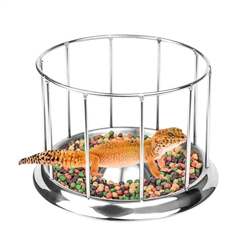 GkgWuxf Schildkröte Futternapf Reptilien Tablett Terrarium Schalen Wassernapf Rostfrei Haustier Spender Futterspender Schildkröte Lebensraum Zubehör für Zuhause Vivarium Pet Store von GkgWuxf