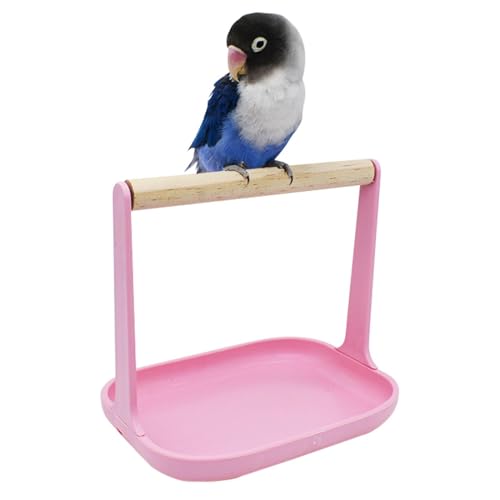 GkgWuxf Vogelstangen für Käfig, Vogelkäfigzubehör - Abnehmbares Training Barsch Stable Design - Tragbare Vogelspielzeuge Stehen für die Haustiergeschäftsfotografie für Heimzüchtungen GkgWuxf Vogelstangen für Käfig, Vogelkäfigzubehör - Abnehmbares Training Barsch Stable Design - Tragbare Vogelspielzeuge Stehen für die Haustiergeschäftsfotografie für Heimzüchtungen von GkgWuxf