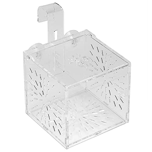 Gkhowiu Aquarium Zucht Isolation Box Partition Inkubator Inkubator Acryl Transparent Aquarium Inkubator Rack (10X10X10Cm) von Gkhowiu