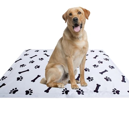 Gkumgwo Kühlmatte für Haustiere, Kühlmatte für Hunde,Sommer-Schlafunterlage | Kühlkissen für Hunde, Hundebox-Pad, Kühlmatten für Hunde und Katzen in Käfigen, Zwingern, Betten und Sofas Gkumgwo Kühlmatte für Haustiere, Kühlmatte für Hunde,Sommer-Schlafunterlage | Kühlkissen für Hunde, Hundebox-Pad, Kühlmatten für Hunde und Katzen in Käfigen, Zwingern, Betten und Sofas von Gkumgwo