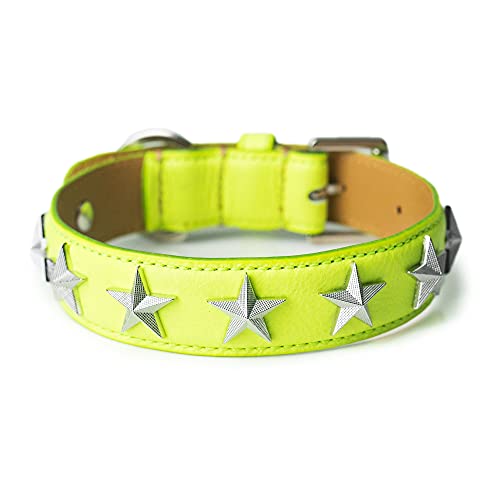 Hundehalsband Stelle Giallo mit SternenNieten aus Soave Leder Breite 2,5cm Gesamtlänge 41cm von Glamotti