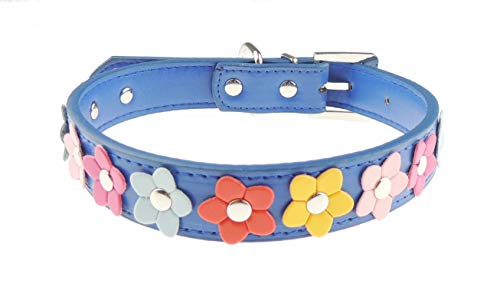 Hundehalsband, Lederoptik, buntes Gänseblümchen, Größe XS, Königsblau von Glamour Girlz