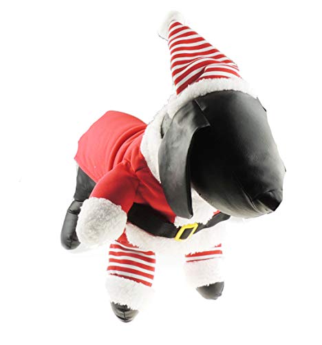 Glamour Girlz Weihnachtsmann-Helfer-Kostüm für kleine Hunde und Katzen, Rot gestreift, Gr. XL von Glamour Girlz
