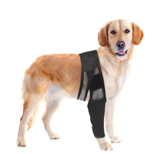Zuverlässiger Schutz für Hunde, Oberschenkelschutz für Hunde, bietet bequeme Passform und verstellbare hochwertige Materialien, Hunde-Beinbandage zum Lecken von Hunden, Beinwickel für Verletzungen, von Glanhbnol