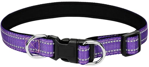 Glanhook Verstellbares, weiches Polyester-Hundehalsband: mit einem niedlichen und bezaubernden speziellen Design, perfekt für kleine, mittelgroße und große Hunde. Langlebig, bequem und ideal für den Glanhook Verstellbares, weiches Polyester-Hundehalsband: mit einem niedlichen und bezaubernden speziellen Design, perfekt für kleine, mittelgroße und große Hunde. Langlebig, bequem und ideal für den von Glanhook