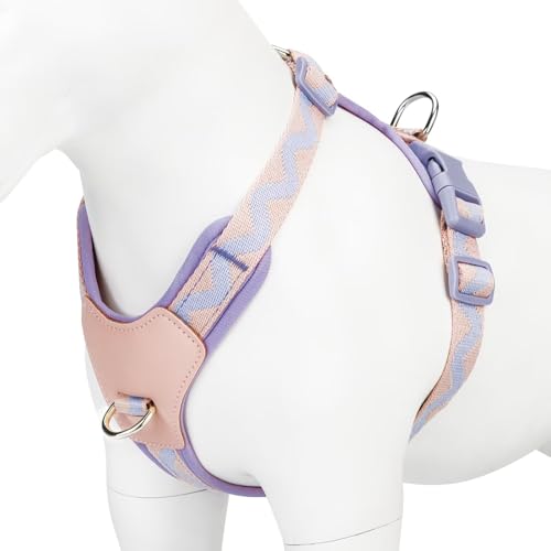 Hundegeschirr für kleine Hunde, kein Ziehen, verstellbar – Step-in mit Echtleder-Panel für kleine, mittelgroße und große Hunde & Katzen – Leinenoption für Spaziergänge und Training, Rosa/Lila, S Hundegeschirr für kleine Hunde, kein Ziehen, verstellbar – Step-in mit Echtleder-Panel für kleine, mittelgroße und große Hunde & Katzen – Leinenoption für Spaziergänge und Training, Rosa/Lila, S von Glanhook