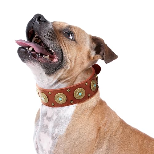 Hundehalsband aus Leder für kleine Hunde – strapazierfähiges, verstellbares, strapazierfähiges PU-Lederhalsband für kleine, mittelgroße, große und extra große Hunde – bequeme Passform mit Hundehalsband aus Leder für kleine Hunde – strapazierfähiges, verstellbares, strapazierfähiges PU-Lederhalsband für kleine, mittelgroße, große und extra große Hunde – bequeme Passform mit von Glanhook
