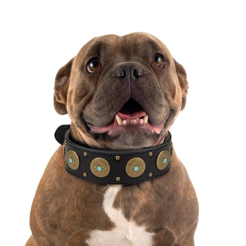 Hundehalsband aus Leder für kleine Hunde – strapazierfähiges, verstellbares, strapazierfähiges PU-Lederhalsband für kleine, mittelgroße, große und extra große Hunde – bequeme Passform mit Hundehalsband aus Leder für kleine Hunde – strapazierfähiges, verstellbares, strapazierfähiges PU-Lederhalsband für kleine, mittelgroße, große und extra große Hunde – bequeme Passform mit von Glanhook