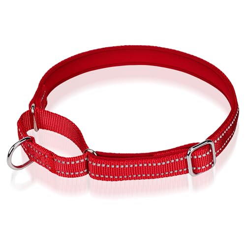 Reflektierendes Martingale-Hundehalsband, NoBuckle Trainingshalsband für Kontrolle und Sicherheit. Service-Hundehalsband erhältlich in einer lebendigen, farbenfrohen Kollektion, geeignet für kleine, Reflektierendes Martingale-Hundehalsband, NoBuckle Trainingshalsband für Kontrolle und Sicherheit. Service-Hundehalsband erhältlich in einer lebendigen, farbenfrohen Kollektion, geeignet für kleine, von Glanhook