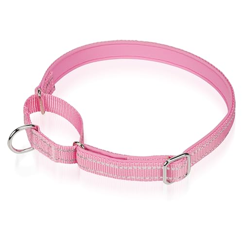 Reflektierendes Martingale-Hundehalsband, NoBuckle Trainingshalsband für Kontrolle und Sicherheit. Service-Hundehalsband erhältlich in einer lebendigen, farbenfrohen Kollektion, geeignet für kleine, Reflektierendes Martingale-Hundehalsband, NoBuckle Trainingshalsband für Kontrolle und Sicherheit. Service-Hundehalsband erhältlich in einer lebendigen, farbenfrohen Kollektion, geeignet für kleine, von Glanhook
