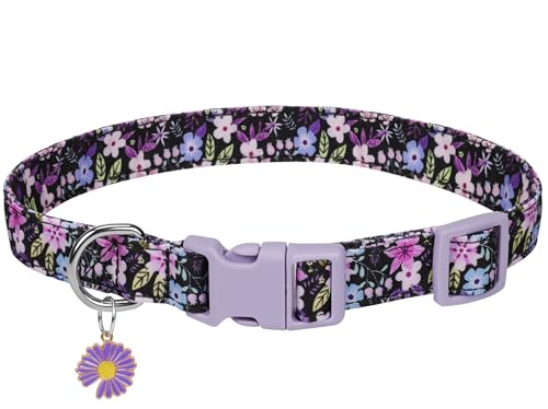 Verstellbares, weiches Polyester-Hundehalsband: mit einem niedlichen und bezaubernden speziellen Design, perfekt für kleine, mittelgroße und große Hunde. Langlebig, bequem und ideal für den täglichen Verstellbares, weiches Polyester-Hundehalsband: mit einem niedlichen und bezaubernden speziellen Design, perfekt für kleine, mittelgroße und große Hunde. Langlebig, bequem und ideal für den täglichen von Glanhook