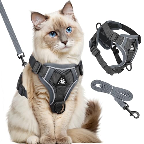GlasFlength Katzengeschirr mit Leine Ausbruchsicher, Katzenleine mit Geschirr für Katzen Verstellbar Katzen Geschirr Set Cat Harness Softgeschirr für Katze mit Reflektierenden Streifen (Grau-M) von GlasFlength