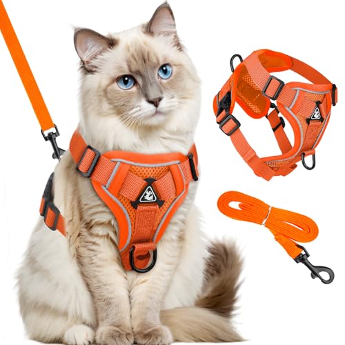 GlasFlength Katzengeschirr mit Leine Ausbruchsicher, Katzenleine mit Geschirr für Katzen Verstellbar Katzen Geschirr Set Cat Harness Softgeschirr für Katze mit Reflektierenden Streifen (Orange-M) von GlasFlength
