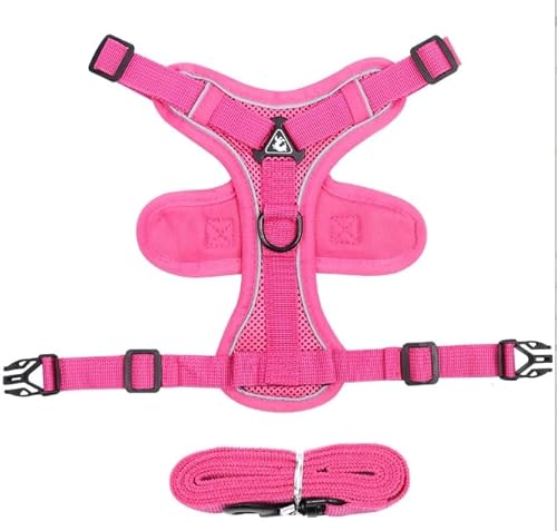 GlasFlength Katzengeschirr mit Leine Ausbruchsicher, Katzenleine mit Geschirr für Katzen Verstellbar Katzen Geschirr Set Cat Harness Softgeschirr für Katze mit Reflektierenden Streifen (Rose-S) von GlasFlength