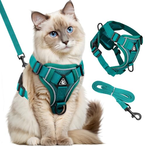 GlasFlength Katzengeschirr mit Leine Ausbruchsicher, Katzenleine mit Geschirr für Katzen Verstellbar Katzen Geschirr Set Cat Harness Softgeschirr für Katze mit Reflektierenden Streifen (Seeblau-M) von GlasFlength
