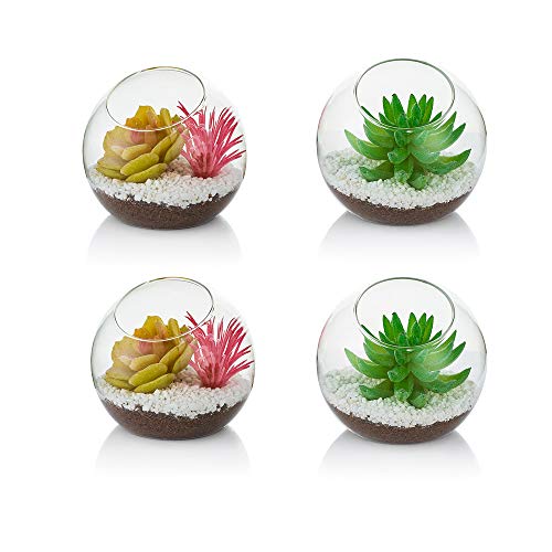Glas Luft Pflanze Terrarium, 10cm Mini Terrarium, 4 Stück Tisch Glas Terrarium Behälter, Tischplatte Display Vase Topf Innendekor für Sukkulente, Kaktus, Kerze von Glasseam