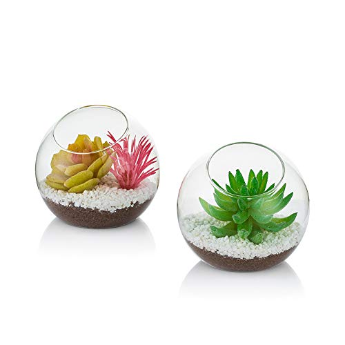 Glas-Luftpflanzenterrarium, 10 cm Mini-Terrarium, 2-teilige Tisch-Glas-Terrarium-Behälter, Tischvitrine Topfdekor für Sukkulenten, Kakteen, Kerzen Glas-Luftpflanzenterrarium, 10 cm Mini-Terrarium, 2-teilige Tisch-Glas-Terrarium-Behälter, Tischvitrine Topfdekor für Sukkulenten, Kakteen, Kerzen von Glasseam