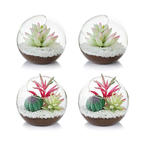 Glasseam Glasluftpflanzenterrarium, 12 cm Kleines Terrarium, 4-TLG. Tischglas-Terrariumbehälter, Tischvitrinen-Topf-Innendekor für Sukkulenten, Kakteen, Kerzen von Glasseam