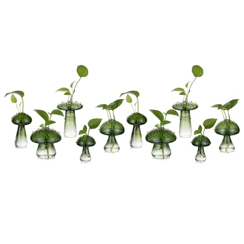 Glasseam Pilzpflanzen-Anzuchtstationen - Grünes Glas-Terrarium-Glas Set mit 10 niedlichen Pflanzgefäßen für Zimmerpflanzen, Mini-Anzuchtstation, einzigartige Weihnachtsgeburtstagsgeschenke für Frauen, Glasseam Pilzpflanzen-Anzuchtstationen - Grünes Glas-Terrarium-Glas Set mit 10 niedlichen Pflanzgefäßen für Zimmerpflanzen, Mini-Anzuchtstation, einzigartige Weihnachtsgeburtstagsgeschenke für Frauen, von Glasseam
