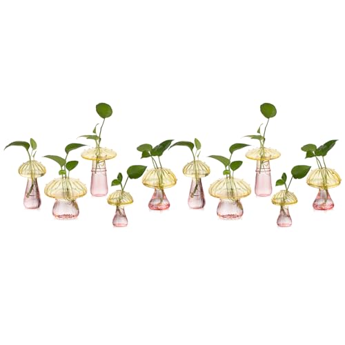 Glasseam Pilzpflanzen-Anzuchtstationen: Farbiges Glas-Terrarium-Glas, Set mit 10 niedlichen Pflanzgefäßen für Zimmerpflanzen, Mini-Anzuchtstation, einzigartige Weihnachtsgeburtstagsgeschenke für von Glasseam