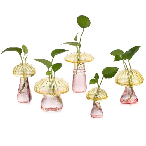 Glasseam Pilzpflanzen-Anzuchtstationen: Farbiges Glas-Terrarium-Glas, Set mit 5 niedlichen Pflanzgefäßen für Zimmerpflanzen, Mini-Anzuchtstation, einzigartige Weihnachtsgeburtstagsgeschenke für Glasseam Pilzpflanzen-Anzuchtstationen: Farbiges Glas-Terrarium-Glas, Set mit 5 niedlichen Pflanzgefäßen für Zimmerpflanzen, Mini-Anzuchtstation, einzigartige Weihnachtsgeburtstagsgeschenke für von Glasseam