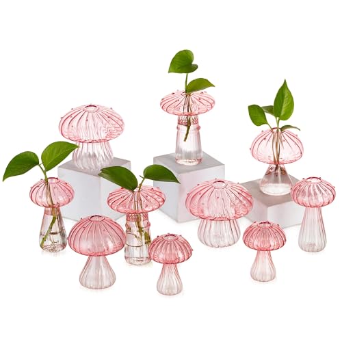Glasseam Pilzpflanzen-Anzuchtstationen: Rosa Glas-Terrarium-Glas, Set mit 10 niedlichen Pflanzgefäßen für Zimmerpflanzen, Mini-Anzuchtstation, einzigartige Weihnachtsgeburtstagsgeschenke für Frauen, Glasseam Pilzpflanzen-Anzuchtstationen: Rosa Glas-Terrarium-Glas, Set mit 10 niedlichen Pflanzgefäßen für Zimmerpflanzen, Mini-Anzuchtstation, einzigartige Weihnachtsgeburtstagsgeschenke für Frauen, von Glasseam