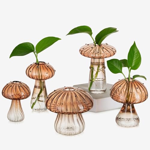 Glasseam Pilzpflanzen-Anzuchtstationen: bernsteinfarbenes Glas-Terrarium-Glas, Set mit 5 niedlichen Pflanzgefäßen für Zimmerpflanzen, Mini-Anzuchtstation, einzigartige Weihnachtsgeburtstagsgeschenke Glasseam Pilzpflanzen-Anzuchtstationen: bernsteinfarbenes Glas-Terrarium-Glas, Set mit 5 niedlichen Pflanzgefäßen für Zimmerpflanzen, Mini-Anzuchtstation, einzigartige Weihnachtsgeburtstagsgeschenke von Glasseam