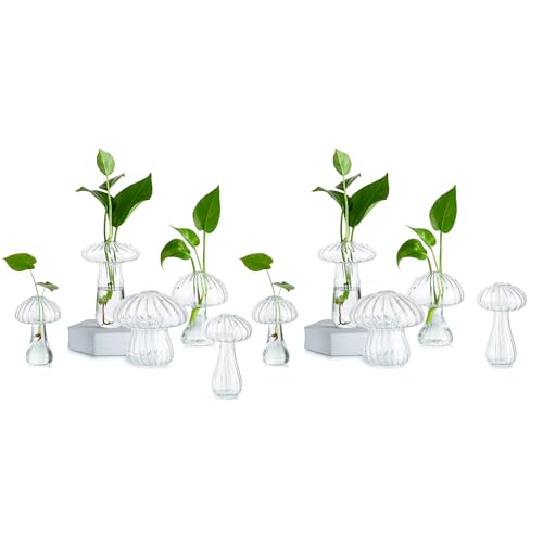 Glasseam Pilzpflanzenterrarium, Set mit 10 einzigartigen Anzuchtstationen, kleine niedliche Pflanzgefäße, Hydrokultur-dekorative Pflanzgefäße für Zimmerpflanzen, klare Blumenvase aus geblasenem Glas, von Glasseam