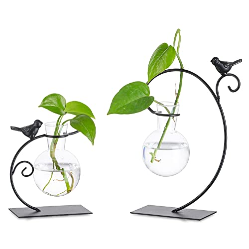 Glasseam Terrarienpflanzen-Anzuchtstationen, 2 Stück Glasterrarien für Pflanzen, Schreibtisch-Glas-Pflanzgefäß, Blumenzwiebelvase für Büro, Heimdekoration, Anzuchtstation, Geschenke für Frauen von Glasseam