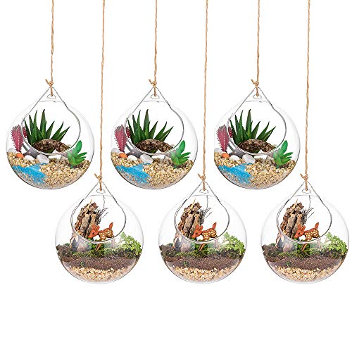 Hängende Glaskugel Vase Glaskugel 6 Pcs Große Öffnung Sukkulenten Aufhängen Terrarium Glas Flower Air Pflanzgefäß Container 4 Inches für Home Party Hochzeitsgarten DIY Desig Hängende Glaskugel Vase Glaskugel 6 Pcs Große Öffnung Sukkulenten Aufhängen Terrarium Glas Flower Air Pflanzgefäß Container 4 Inches für Home Party Hochzeitsgarten DIY Desig von Glasseam