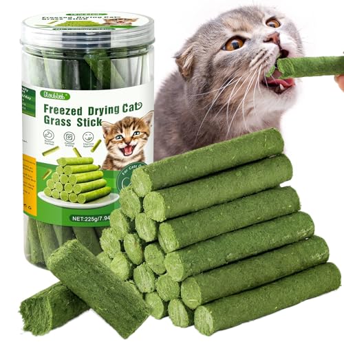 225g Katzengras Snack, Katzengras Sticks Natürlich Getrocknet Snacks für Katzen für Haarballenentfernung und Zahnpflege, Katzenminze, Cat Grass Stick 225g Katzengras Snack, Katzengras Sticks Natürlich Getrocknet Snacks für Katzen für Haarballenentfernung und Zahnpflege, Katzenminze, Cat Grass Stick von Glaublieb