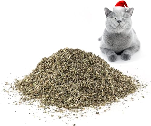 Glaublieb Katzenminze Getrocknet, Natürliche Catnip Katzengras, Verwendet als Snack für Füllung Katzenspielzeug, Fein Getrocknet und Versiegelt und Verpackt für eine Einfache Konservierung von Glaublieb