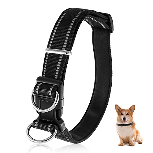 Hundehalsband mit Schnellverschluss Schnalle Double D-Ring Classic Verstellbar Reflektierendes Nylonhalsband für Kleine Mittel Große Hunde (M(Nacken:26-40cm,Empfohlenes Gewicht:unter 15 kg)) von Glaublieb