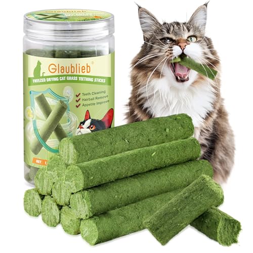 Katzengras Snack, Katzengras Sticks Natürlich Getrocknet Snacks für Katzen für Haarballenentfernung und Zahnpflege, Katzenminze, Cat Grass Stick (50g) von Glaublieb