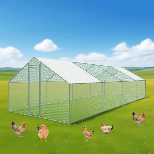 Großer Hühnerstall, Hühnerauslauf aus Metall for den Hof mit Futtertür, begehbarer Hühnerstall, Geflügelkäfig for den Außenbereich mit UV-Schutz(Tube Diameter 25mm,8 * 3 * 2) von Glenmi