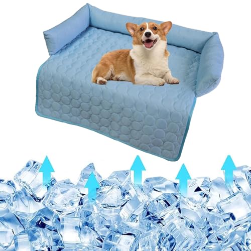Kühlmatte for Haustiere, Hunde und Katzen, mit extra selbstkühlenden Gelmatten-Pads und faltbarem, weichem Welpen-Sprinkler, Gefrier-Eis-Pad for Hundebettmatratze, langlebige, ungiftige Welpenkissende Kühlmatte for Haustiere, Hunde und Katzen, mit extra selbstkühlenden Gelmatten-Pads und faltbarem, weichem Welpen-Sprinkler, Gefrier-Eis-Pad for Hundebettmatratze, langlebige, ungiftige Welpenkissende von Glenmi