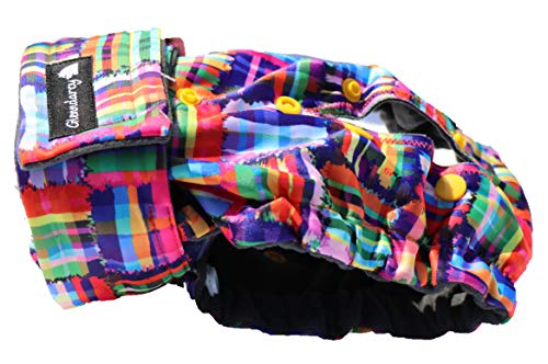 Glenndarcy Hündin Windel - Verstellbare Flexi-Hose - (Size Large to XXL Pants & 2 Washable Pads, Patchwork) von Glenndarcy