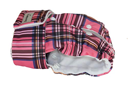 Glenndarcy Hündin Windel - Verstellbare Flexi-Hose - (Size Large to XXL Pants & 2 Washable Pads, Pink Plaid) von Glenndarcy