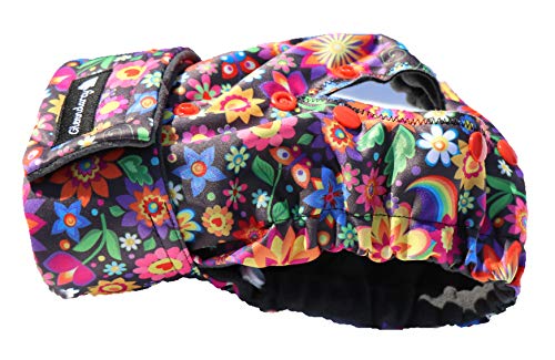 Glenndarcy Hündin Windel - Verstellbare Flexi-Hose - (Size Small to Medium Pants & 2 Washable Pads, Daisy) von Glenndarcy