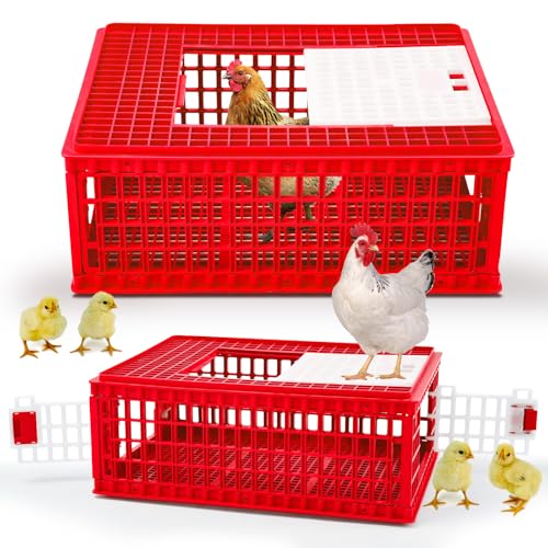 GlikCeil Geflügel-Transportkäfig mit 3 Türen, Kunststoff, für Hühner, Enten, Gänsevögel, 75 x 55 x 29 cm, Rot, 2 Stück GlikCeil Geflügel-Transportkäfig mit 3 Türen, Kunststoff, für Hühner, Enten, Gänsevögel, 75 x 55 x 29 cm, Rot, 2 Stück von GlikCeil
