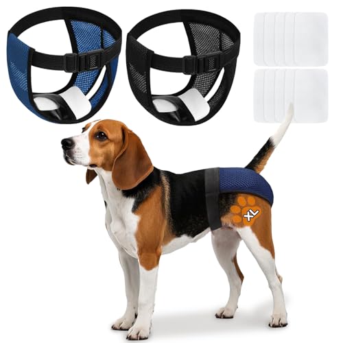 Wiederverwendbare Hundewindeln, verstellbare Hundewindeln mit 10 saugfähigen Pads, waschbare Hundehosen für weibliche Haustiere in Hitze, hygienischer Schutz, 2 Stück Wiederverwendbare Hundewindeln, verstellbare Hundewindeln mit 10 saugfähigen Pads, waschbare Hundehosen für weibliche Haustiere in Hitze, hygienischer Schutz, 2 Stück von Glirop