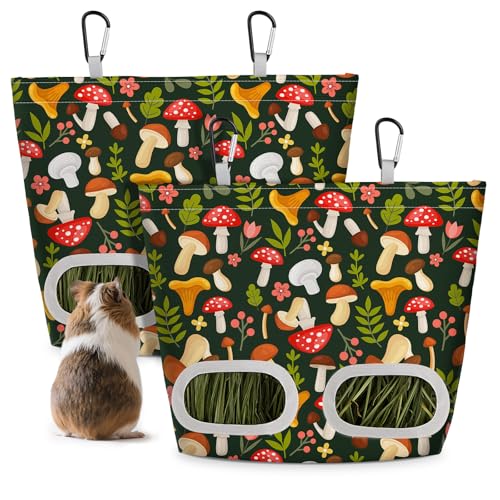 Glittme Meerschweinchen-Heu-Futterstation für Kaninchen, 29,1 x 22,9 cm, Heubeutel zum Aufhängen, für Meerschweinchen, Käfig, Heu-Futterstation für Kaninchen, kleine Haustiere, grüner Pilz, 2 Stück Glittme Meerschweinchen-Heu-Futterstation für Kaninchen, 29,1 x 22,9 cm, Heubeutel zum Aufhängen, für Meerschweinchen, Käfig, Heu-Futterstation für Kaninchen, kleine Haustiere, grüner Pilz, 2 Stück von Glittme